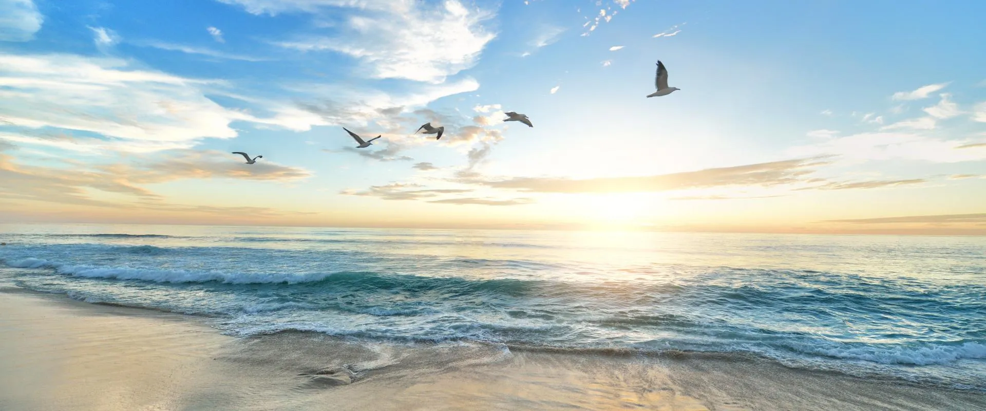 A serene beach scene with birds soaring over the gentle waves of the ocean under a clear blue sky.
